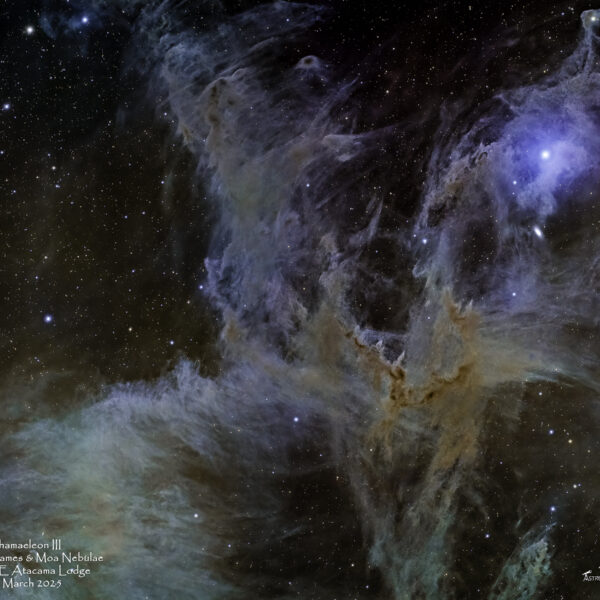 Chamaeleon III Rippling Flames & Moa Nebulae mosaic; Captured from SPACE Atacama Lodge, Chile on 27 March 2025